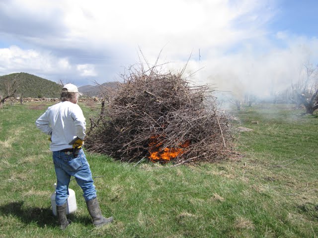 Watching the fire burn. 