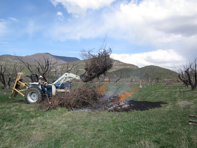 Adding more fuel to the fire with the tractor. 