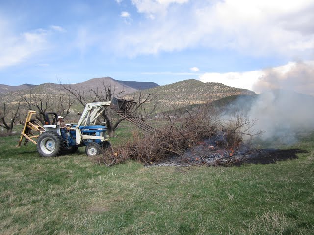 Adding more fuel to the fire with the tractor. 