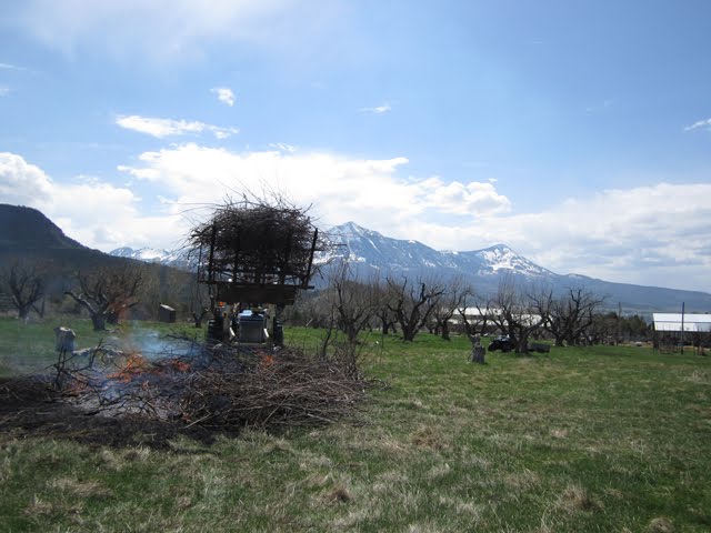 Adding more fuel to the fire with the tractor. 