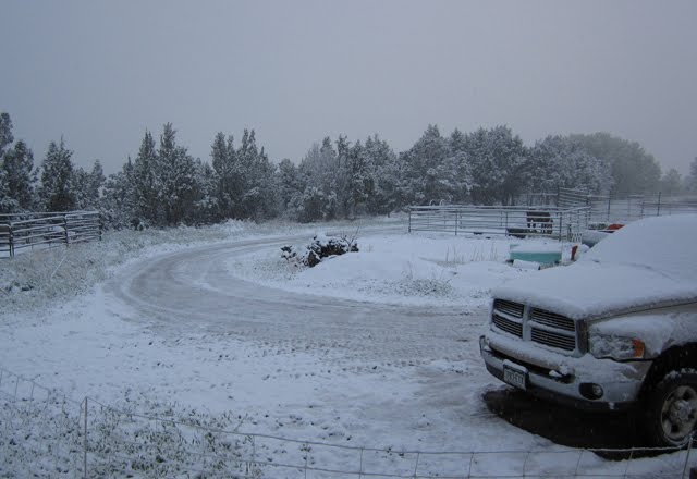 A layer of fresh snow covers everything in sight. 