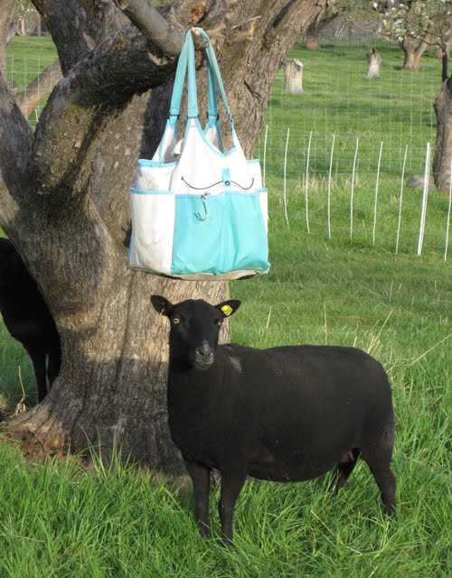 This ewe was very curious about Oogie's "lamb bag."
