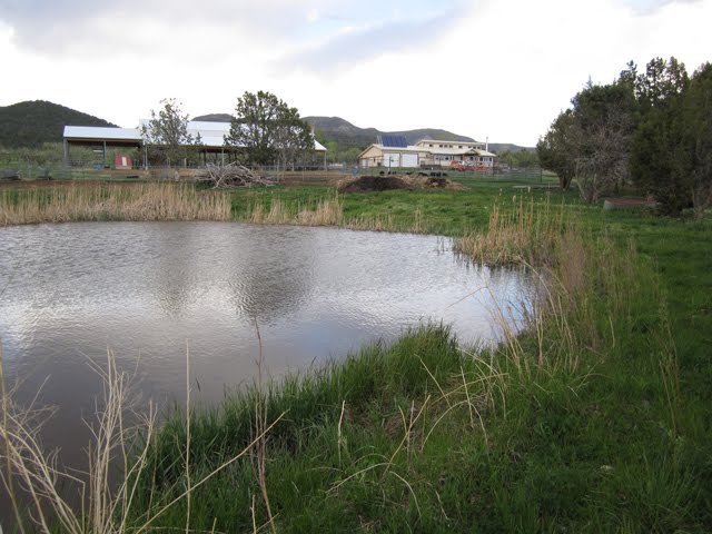 From this angle, we can see the hay barn and the main house across the pond.