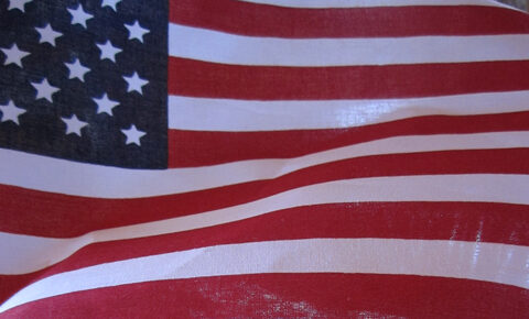 American As… Rhubarb Pie?