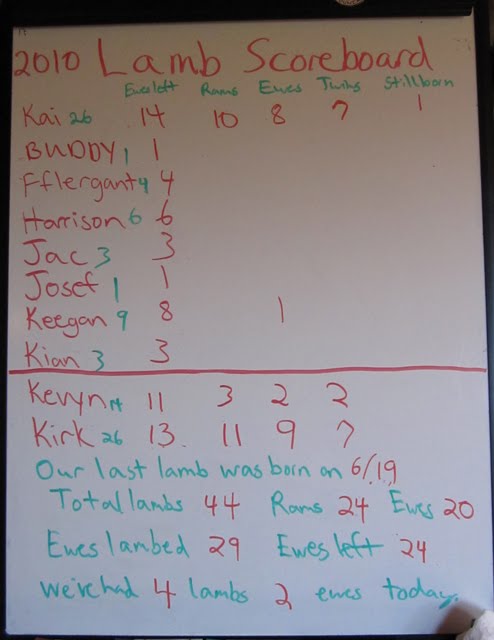 The lambing scoreboard for 2010. 