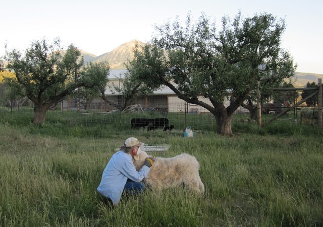 Ken gives Kimball a hug in a field of tall grass.