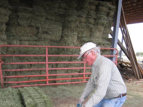 Weighing the Hay