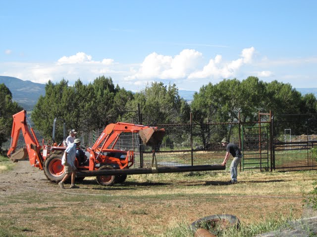 Large poles are erected as mounts for solar panels.
