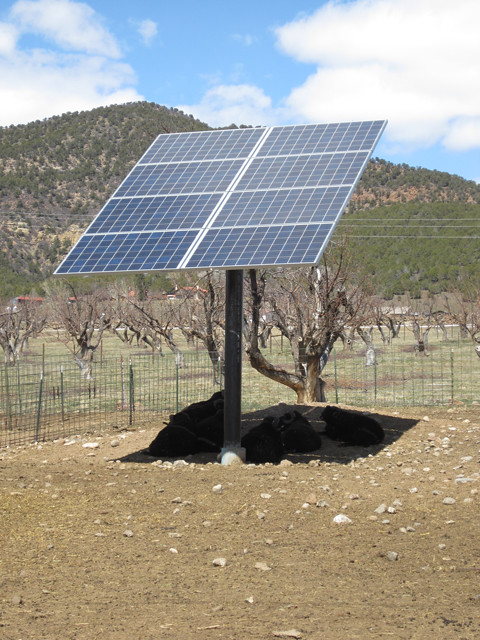 A solar panel mounted on a vertical pole collects solar power and provides shade for resting sheep. 