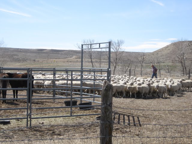 March Wool Work