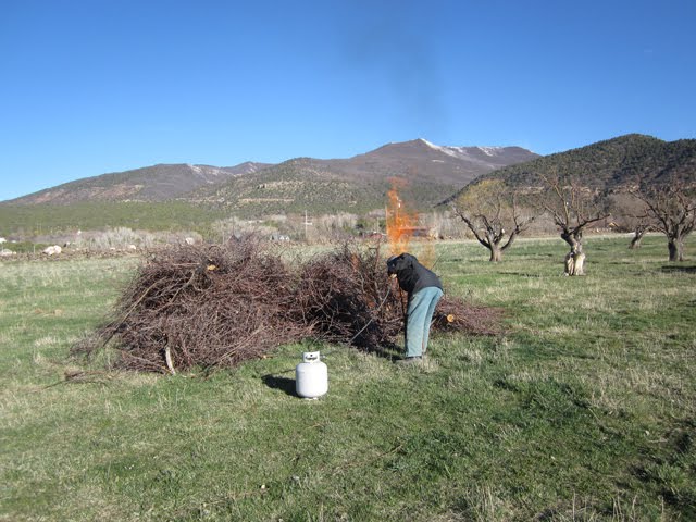 Someone uses fuel to jump-start the burning of a large pile of brush.