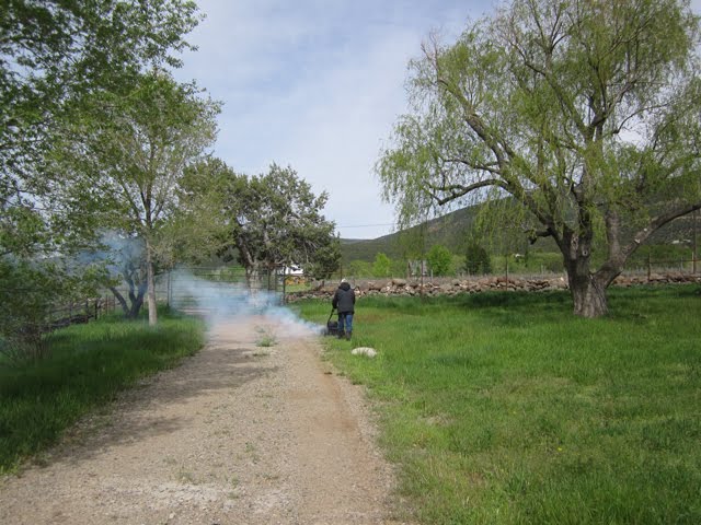 Ken starts the mower, resulting in billowing white smoke. 