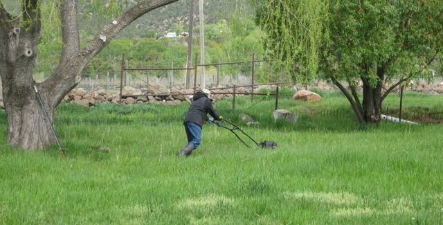 Mowing the Lawn
