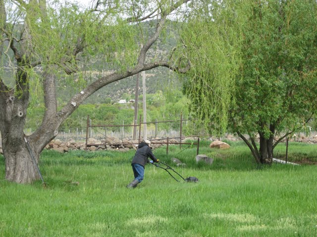 The mower is now working well. 