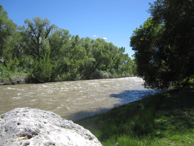 The high river is covered in sparkling rapids. 