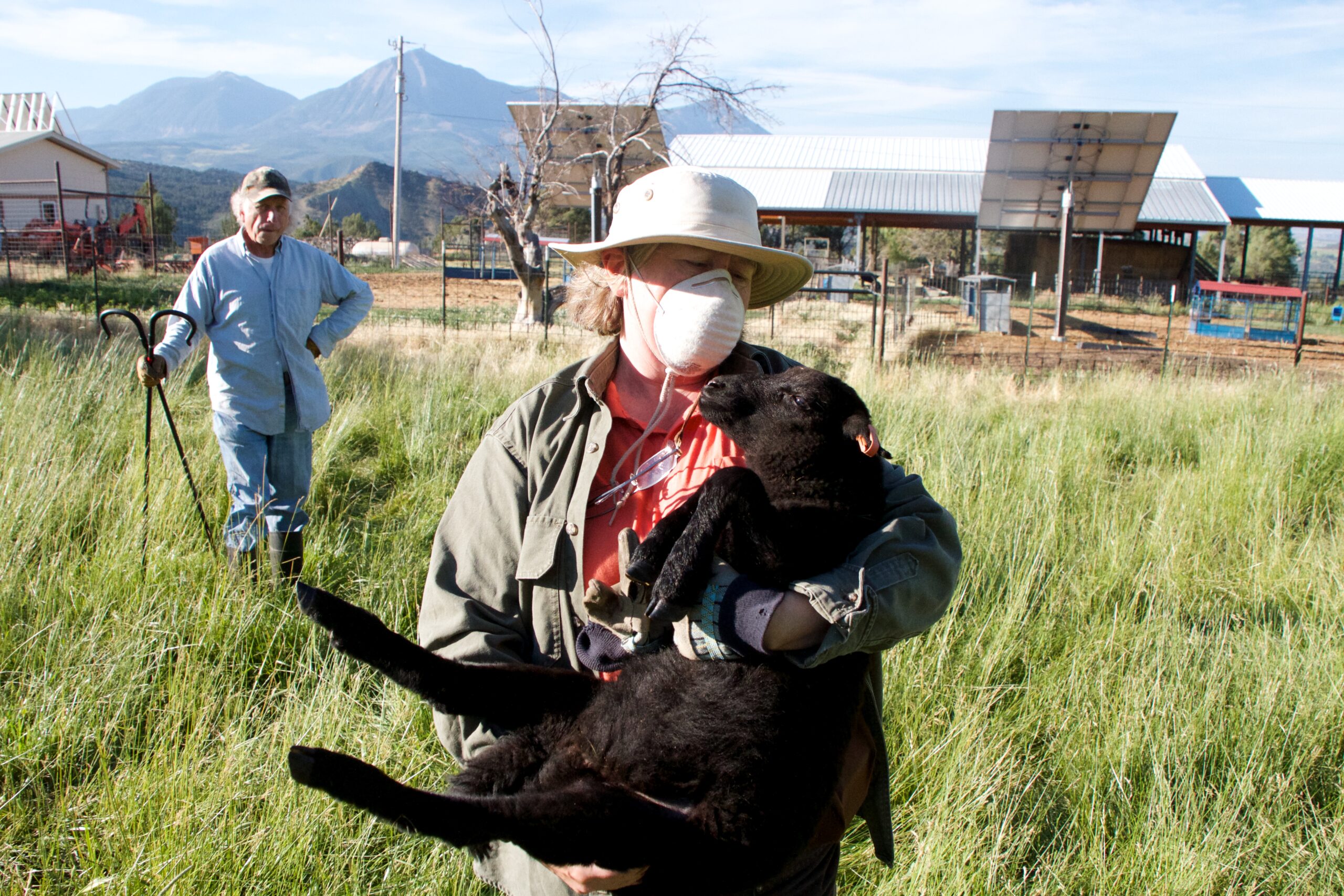 Oogie manually carries the last lamb, with Ken in the background.