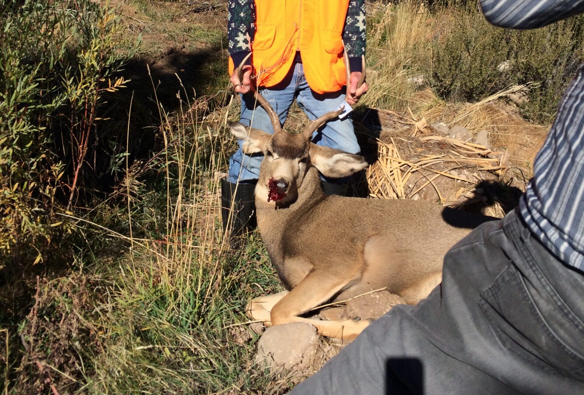 Hunting Season
