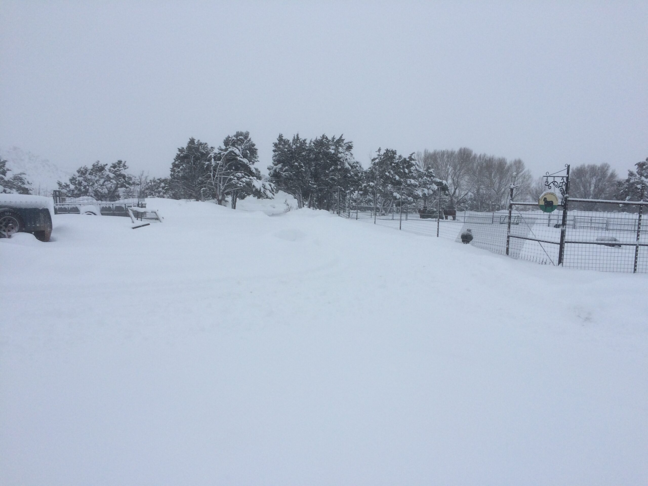 A thick layer of white snow blankets the landscape. 