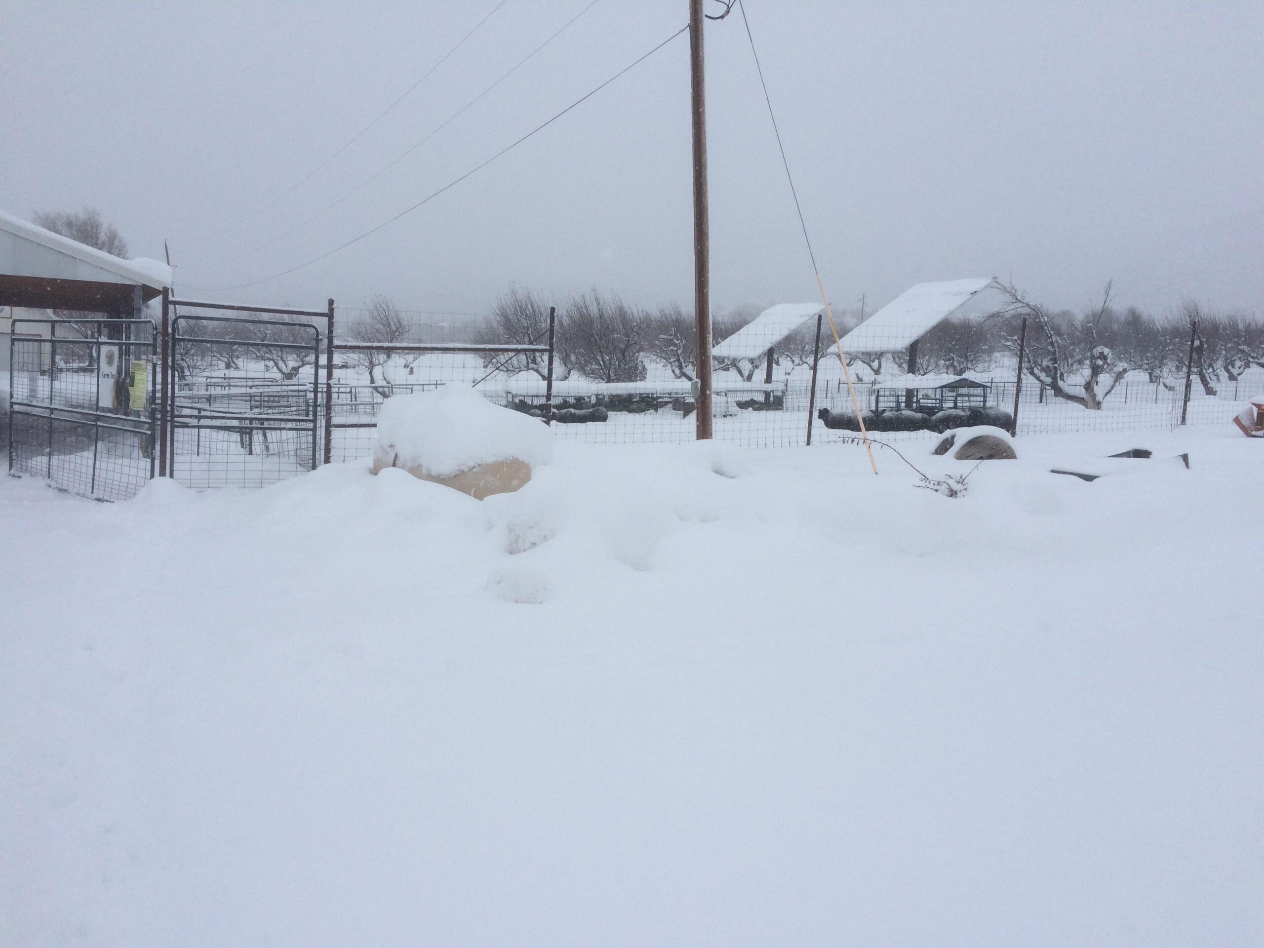 A thick layer of undisturbed snow covers fences, shelters, and other structures.