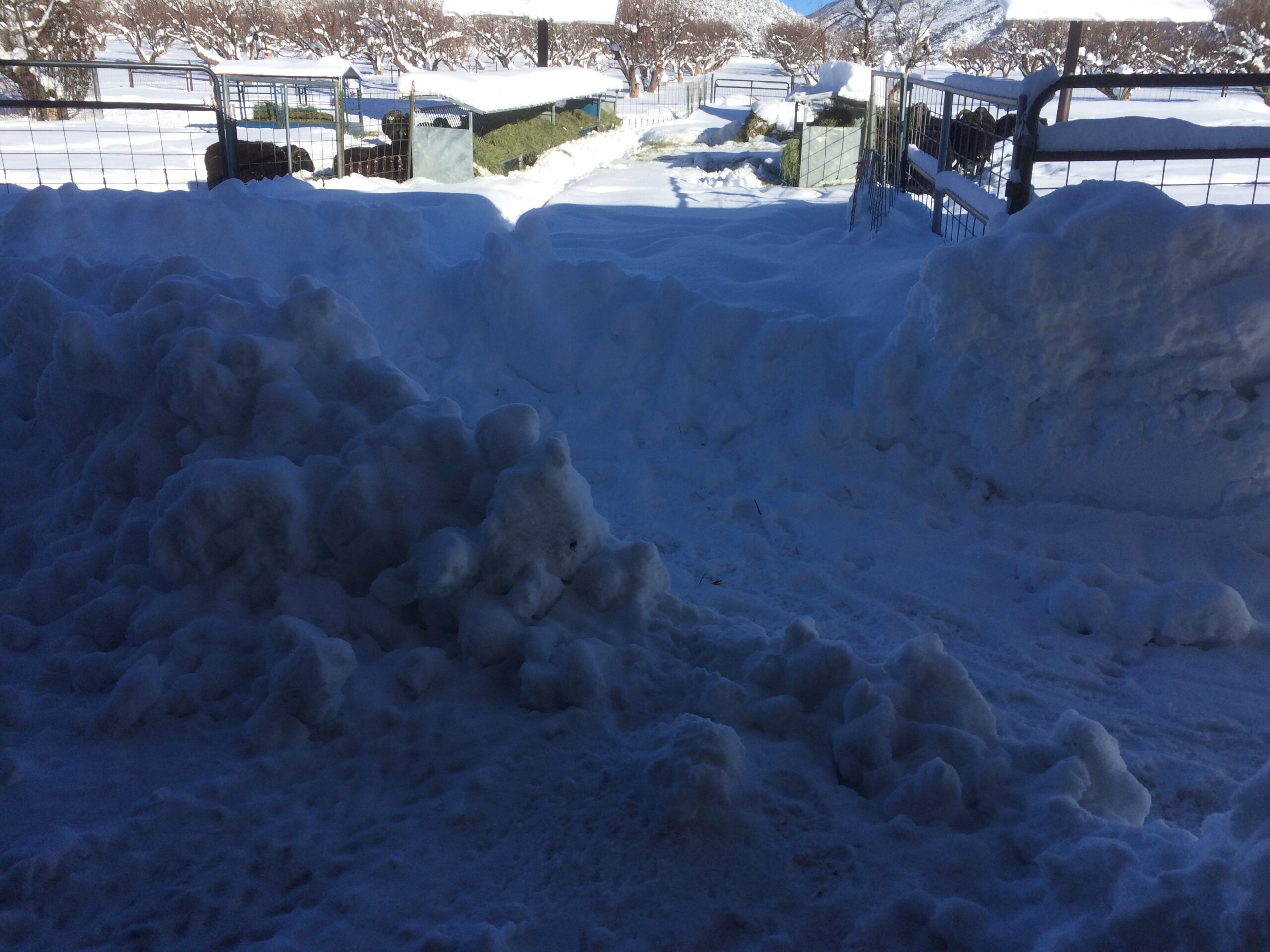 Large snowdrifts form as a path gets plowed through the snow.