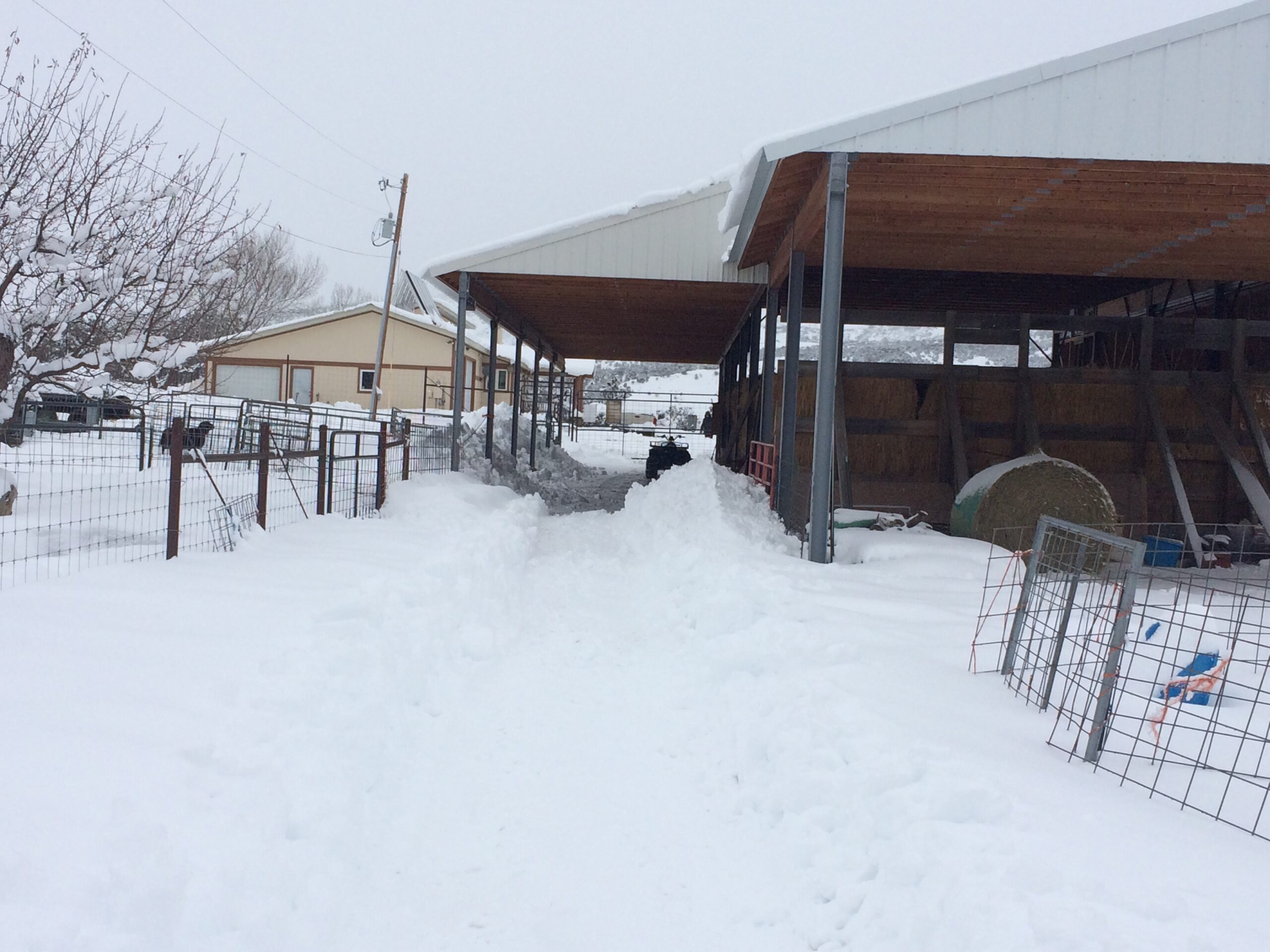 Drifts of snow collect near and beneath a hay barn. 