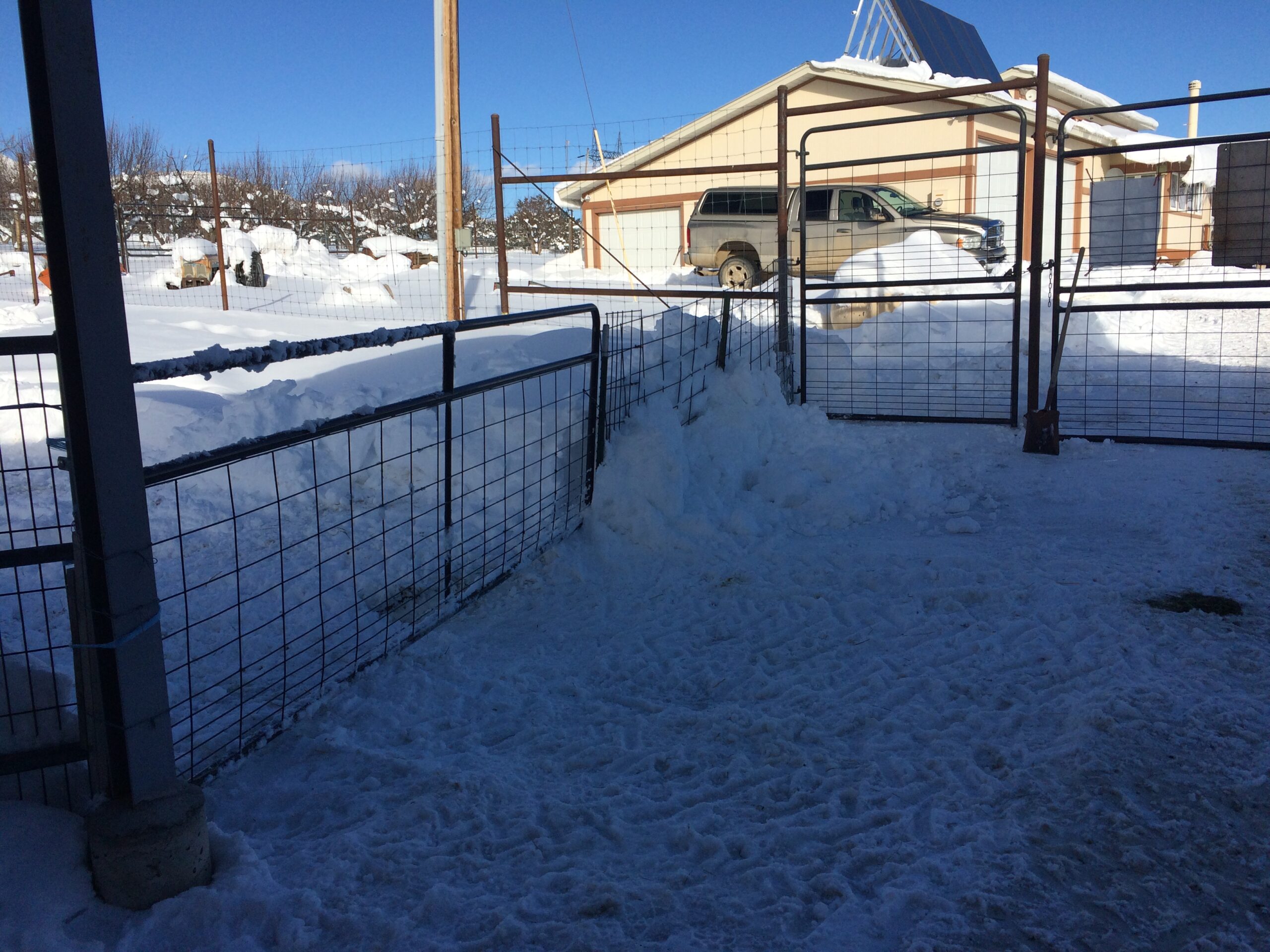 A small snowdrift can be seen blocking gates and fences.