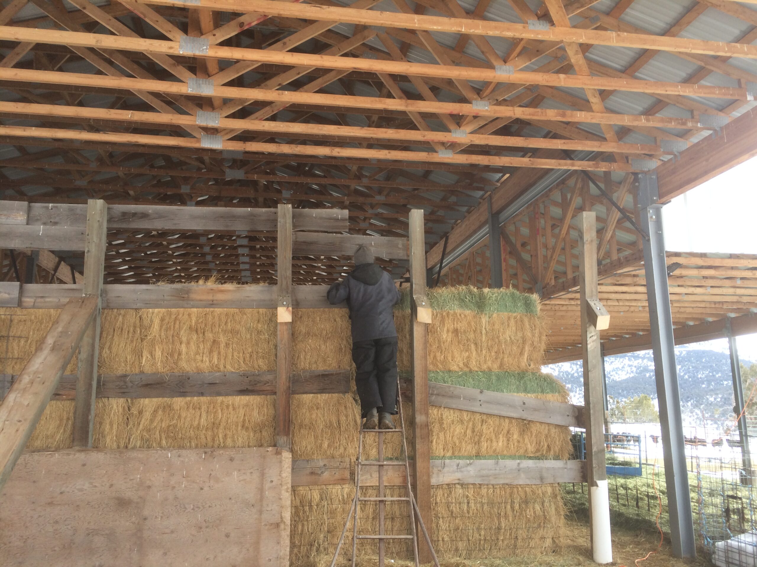 A person can be seen climbing some wood timbers next to a pile of hay.