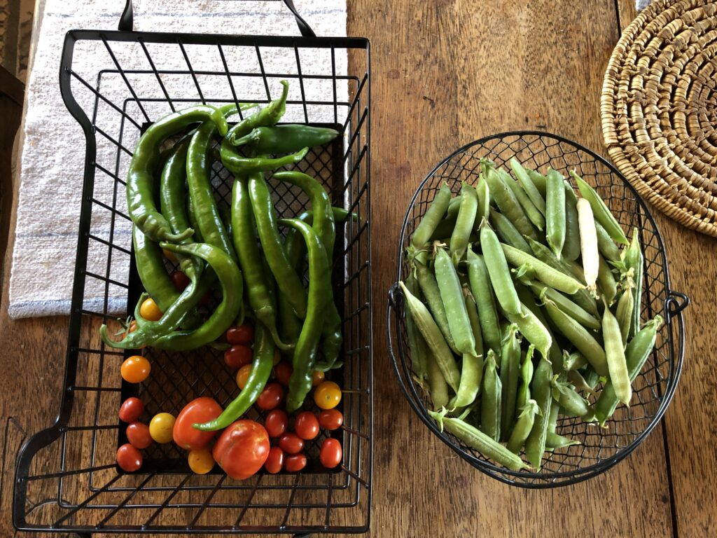Garden Bounty