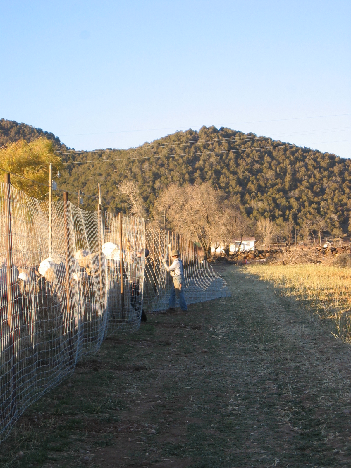 The wire is being unrolled on the fence. 
