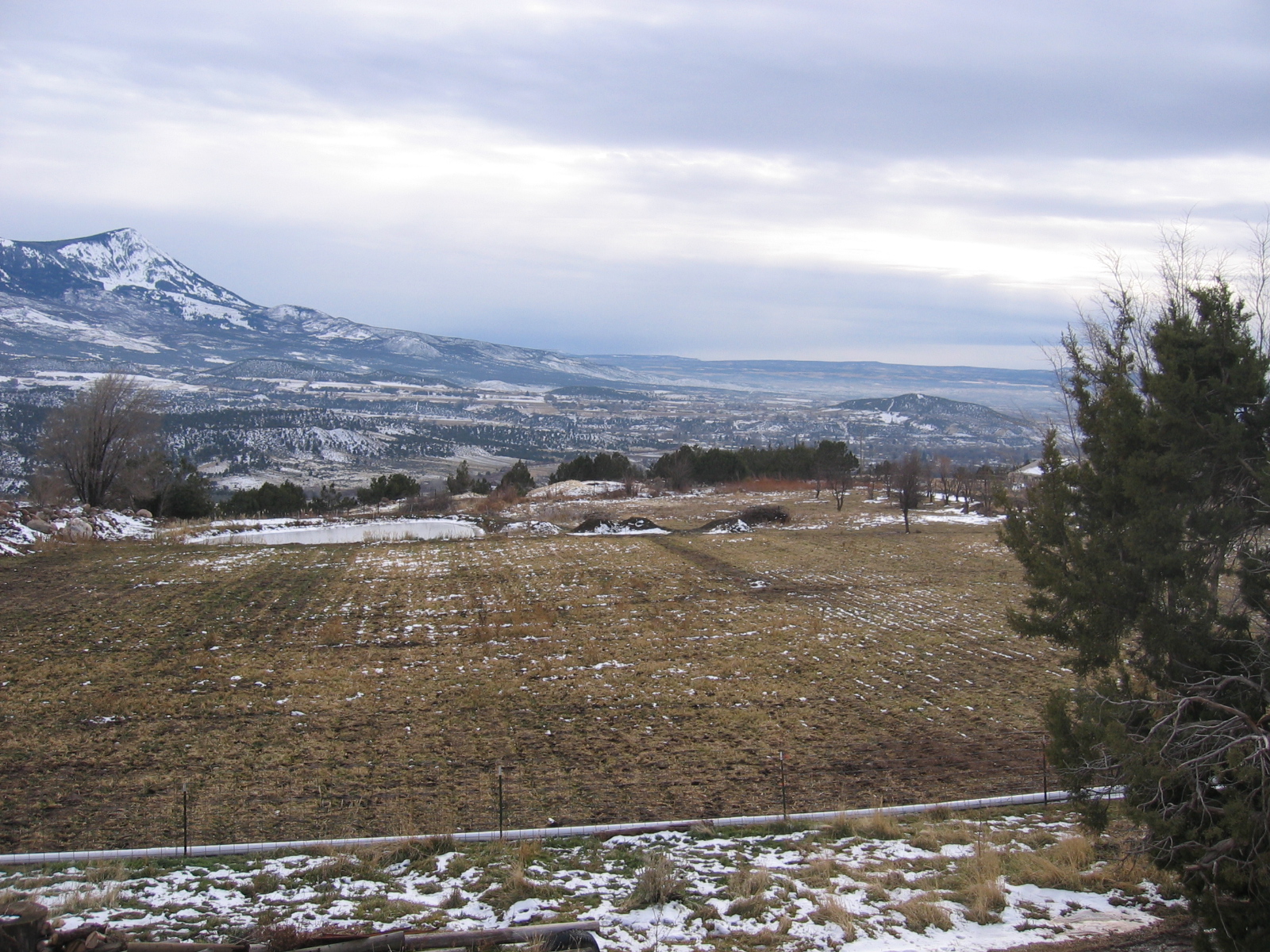 Looking over the front oats pasture from the top floor of the shop.