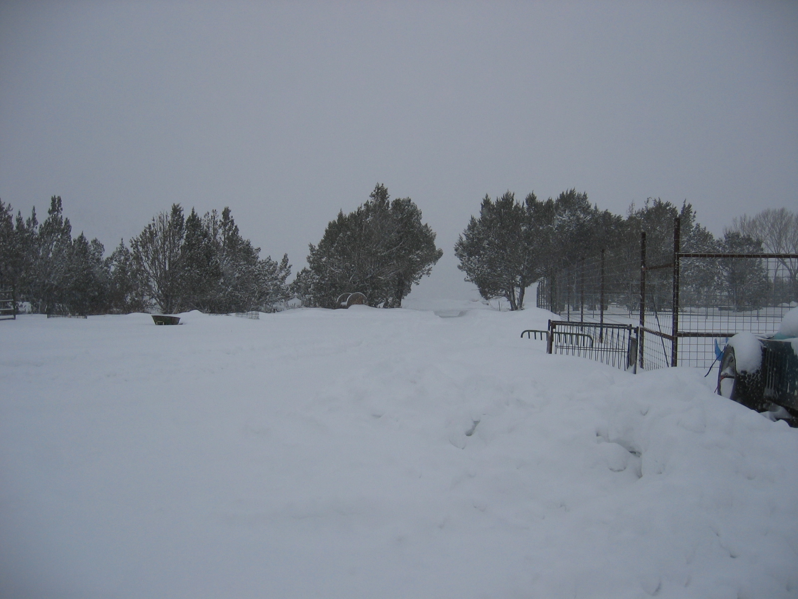 The driveway is indistinguishable with all the snow on the ground. 