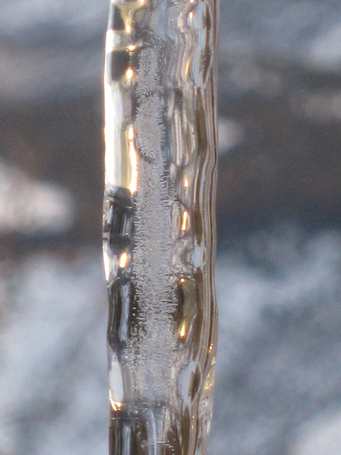 A close-up photo of an icicle. 