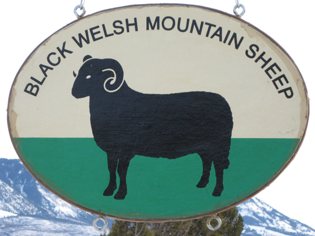 Sheep Sign Silhouette