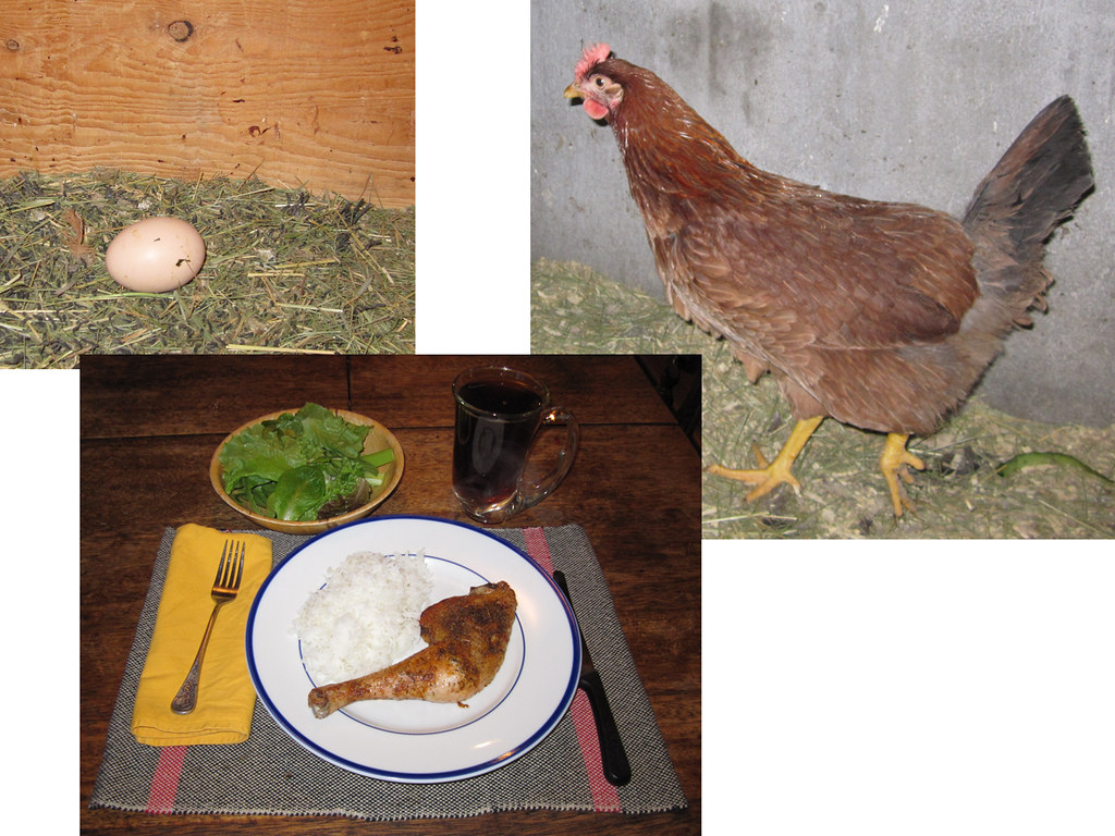 Which Came First: The Chicken or the Dinner?