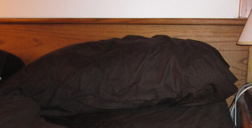 Sleep Makes Me Very Happy!