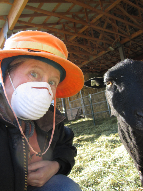 A selfie of Oogie and Caren the ewe.