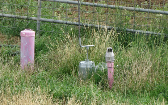 Pink Irrigation