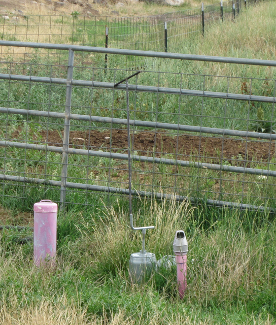 Two pink pipes are visible peeking through long grass.