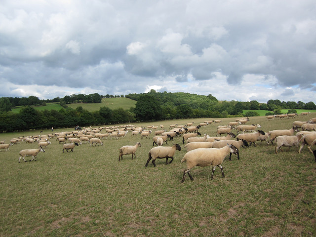 Weather and Grass at Great Tre Rhew