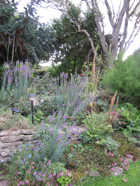 Welsh Garden