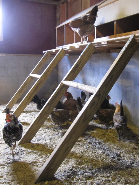 Diagonal Roosts