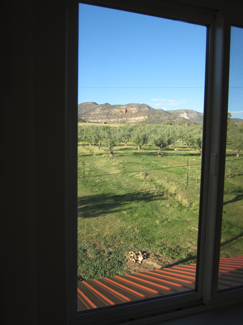 Window Shot