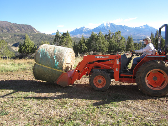 Moving Hay