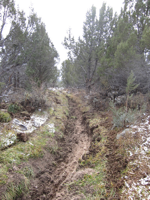 Clean Ditch