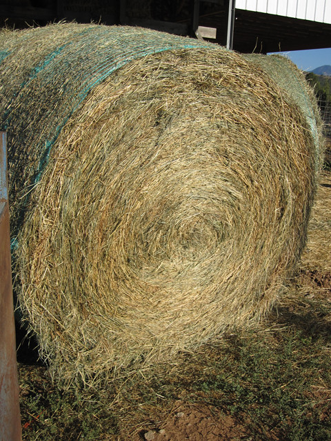 Centered Bale
