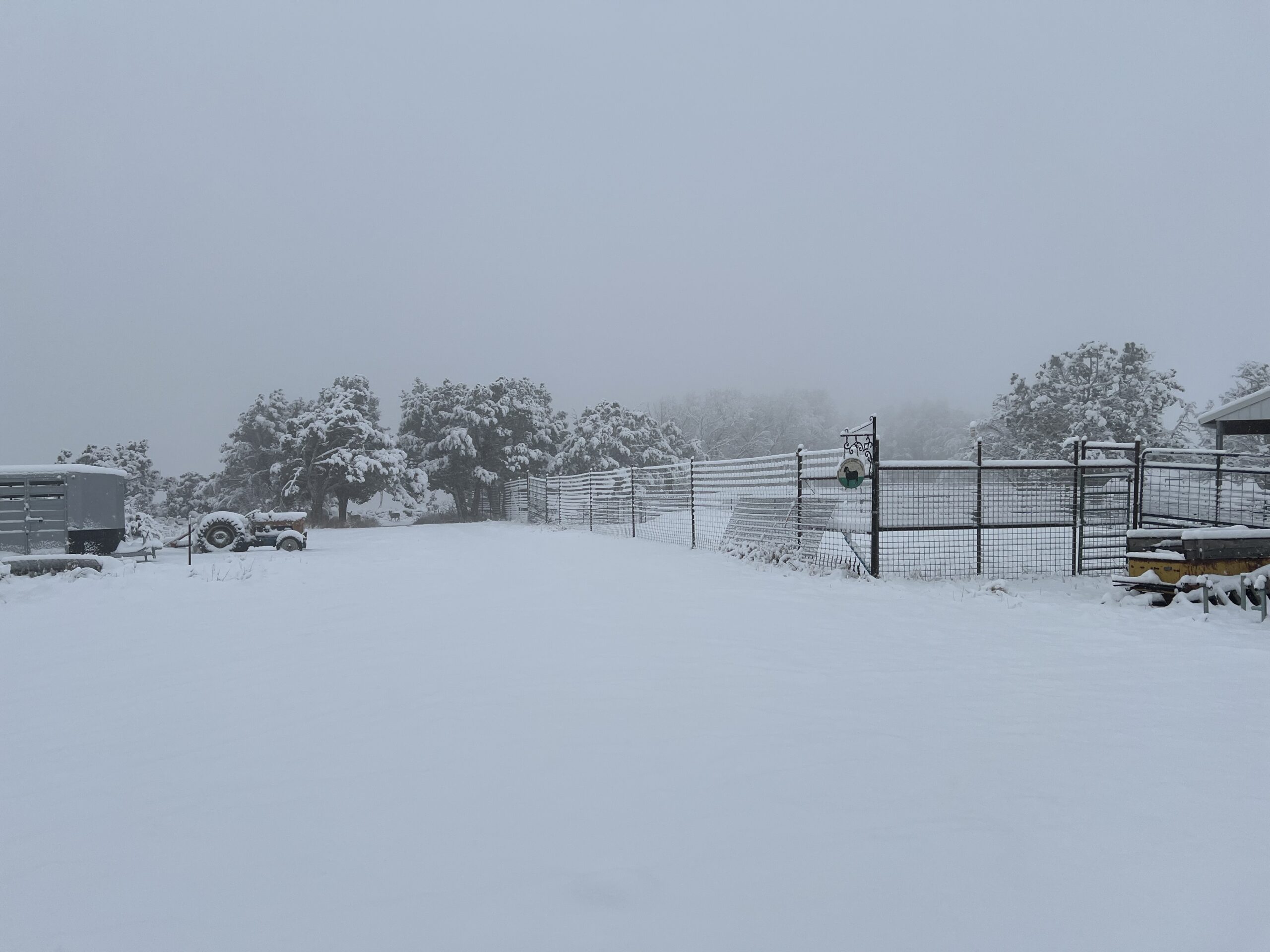 The Desert Weyr farmyard is covered in snow.